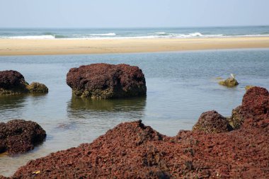 Bhogwe plajı Vengurla sindag Maharashtra Hindistan Asya