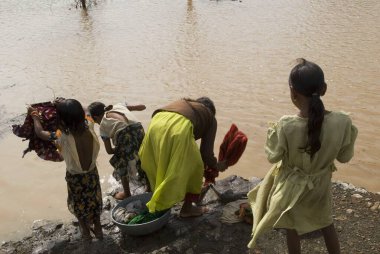Kırsal kesimdeki kızlar nehirde çamaşır yıkıyorlar, Marathwada, Maharashtra, Hindistan 