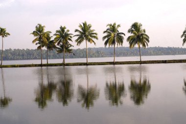 Kodungallur 'un durgun suları, Kerala, Hindistan 