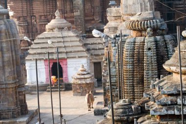 Lord Lingaraj 'ın 11. yüzyıl tapınağı mimari güzellik ve zarafetin simgesi; Bhubaneshwar; Orissa; Hindistan