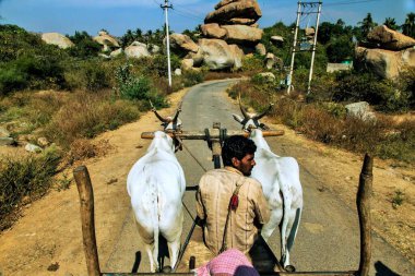 Bullock arabası, Hubli, Dharwad, Karnataka, Hindistan, Asya