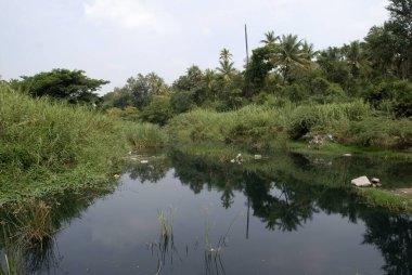 Noyyal Nehri, Coimbatore, Tamil Nadu, Hindistan 