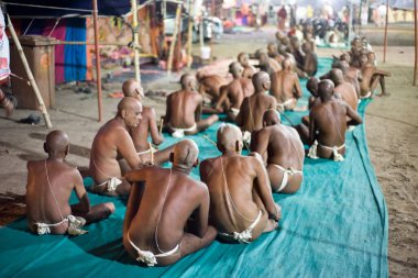 Newly initiated naga sadhus, kumbh mela, madhya pradesh, india, asia  clipart