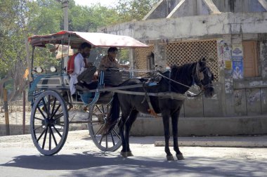 At arabası, Buggy tek bir at tarafından çizilmiş küçük, hafif bir araba. 