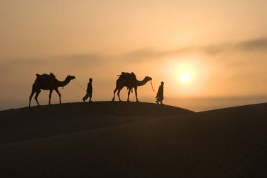 Khuhri, Jaisalmer, Rajasthan, Hindistan 'da kum tepecikleri üzerinde yürüyen develi bir adam. 