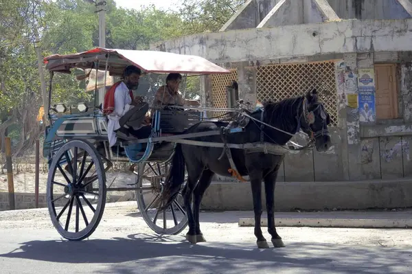 stock image Horse carriage, Buggy a small lightweight carriage drawn by a single horse 