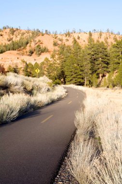 Bryce Canyon Ulusal Parkı 'nda, Amerika Birleşik Devletleri' nde oldukça uzun bir yol.