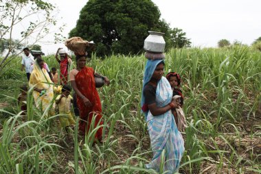 Kırsal kesimde yaşayan kadınlar, Marathwada, Maharashtra, Hindistan 