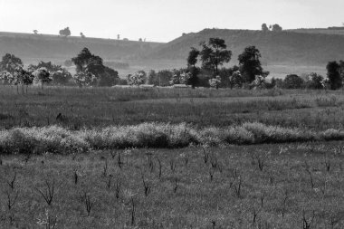 Saha, bastar, chhattisgarh, Hindistan, Asya 