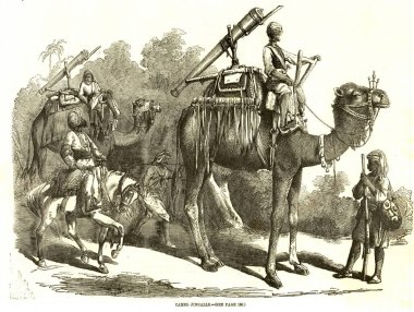 Deve cingalleri, Hindistan, Vintage Illustration