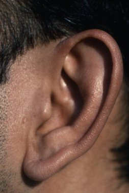 44 yaşında, Hindistan 'da bir adamın kulağına yakından bakın.