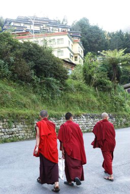 Budist keşişler, Pastanga, Sikkim, Hindistan 