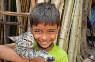 Sevgi dolu kedi yavrusu Ganchha Çarşısı Jodhpur Rajasthan Hindistan Asya 