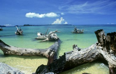 Wandour Sahili, Port Blair, Andaman Adası, Hindistan