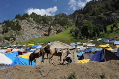 Atlı adam, amarnath yatra, Jammu Kashmir, Hindistan, Asya