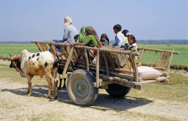 Öküz arabasında, Hindistan 'da insanlar