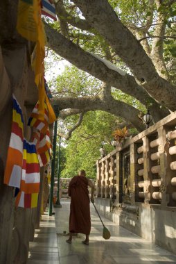 Mahabodhi tapınağı; Bodhgaya; Bihar; Hindistan