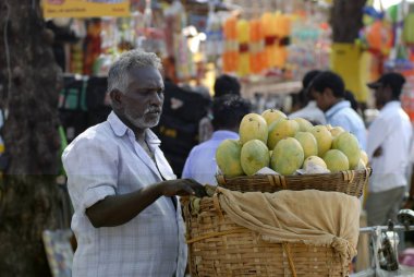 A hawker selling mangoes ; Palani ; Tamil Nadu ; India clipart