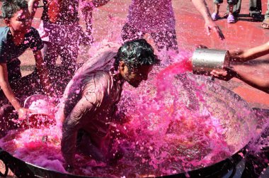 Çocuklar renkli suyun tadını çıkarıyorlar. Hint Asya 'sından Holi Rajasthan. 