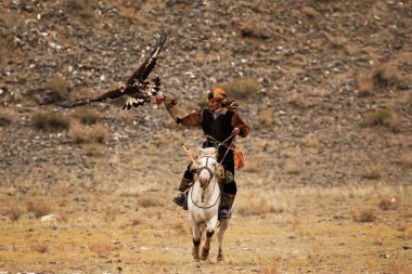 Altın Kartal Festivali 'nde kartal avcıları, Bayan, olgii, Moğol