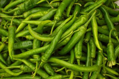 Hindistan Asya 'dan daha yeşil kırmızı biber.