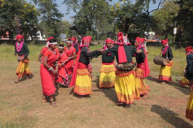 Mudia tribal dancers, jagdalpur, chhattisgarh, india, asia  clipart