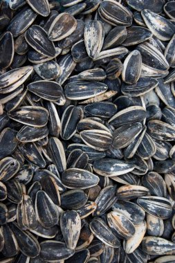 Ayçekirdeği; Surajmukhi beej; Doğal Sağlık Gıda; D vitamini ve Proteinler; Deri; Kemiklere kuvvet; Daha sağlıklı yaşam; Mumbai bombay; Maharashtra; Hindistan