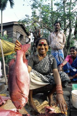 Woman selling fish at Port Blair, Andaman Islands, India    clipart