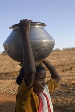 Kafasında su kabı taşıyan kırsal bir kadın; Jharkhand; Hindistan