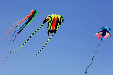 Uçurtma festivali, Surat, Gujarat, Hindistan, Asya