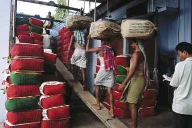 Çay üretim fabrikası, assam, Hindistan