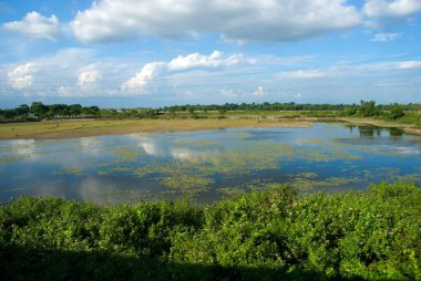 Shillong 'daki Gölet, Meghalaya, Hindistan