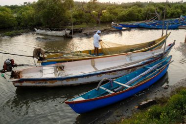 Pichavaram mangrov ormanı yakınlarındaki denizde balıkçı tekneleri, Chidambaram, Tamil Nadu, Hindistan 