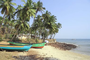 Goa 'daki Kabana Sahili; Hindistan