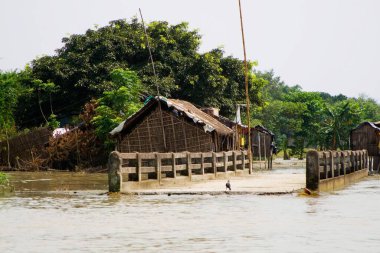 2008 yılında Kosi Nehri taşkını; Purniya ilçesi; Bihar; Hindistan