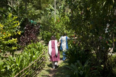 Yürüyen kadınlar, koorg, karnataka, Hindistan, Asya 