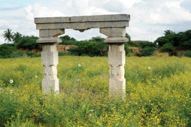 Tarladaki tapınak yapısı, Koppal, Karnataka, Hindistan 