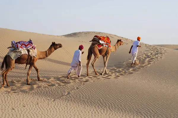 stock image Two men with camels climbing on sand dune, Khuri, Jaisalmer, Rajasthan, India 