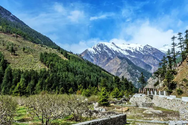 Yürüme yolu, Harsil, Uttarakhand, Hindistan, Asya