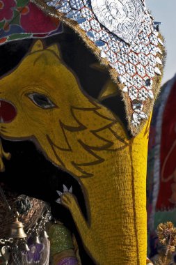 Fil Dekorasyonu, Fil Festivali 2004, Chuagan Stadiam, Jaipur, Rajasthan, Hindistan  