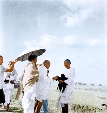 Mahatma Gandhi yeni doğmuş keçi, Wardha, Maharashtra, Hindistan, Asya, Eylül 1938 