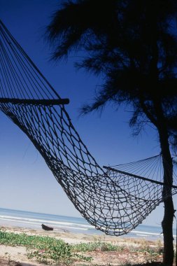 Hammock between trees at Tarkarli beach, Malvan, Konkan, Maharashtra, India clipart