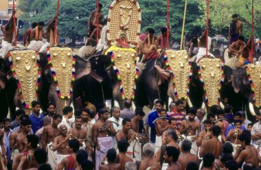 Elephants March procession of bejeweled temple Festival ,in Kerala , india clipart