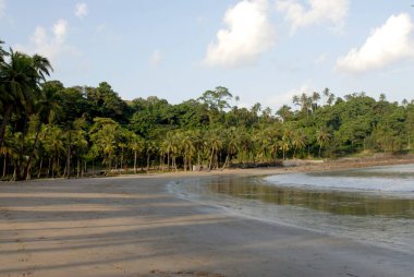 Corbyns Cove Sahili, Port Blair, Güney Andaman Adaları, Bengal Körfezi, Hindistan Ekim  