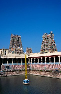 Meenakshi tapınağı ve Kalyani, Madurai, Tamil Nadu, Hindistan