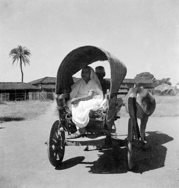 Kasturba Gandhi Sevagram Ashram, Vardha, Maharashtra, Hindistan, 1941 'de bir öküz arabasına biniyor.