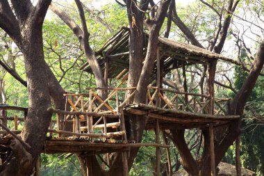 Manmade machan bamboo scaffold raised platform in Sanjay Gandhi National Park ; Borivali ; Bombay Mumbai ; Maharashtra ; India clipart