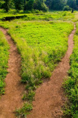 Footway two way, mud path with greenery, Sanjay Gandhi National Park, Borivali, Bombay Mumbai, Maharashtra, India  clipart