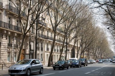 Street scene, tree lined on footpath, Branly, Paris, France, Europe  