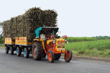 Traktör şeker kamışı dolu, Miraj, Sangli, Maharashtra, Hindistan 